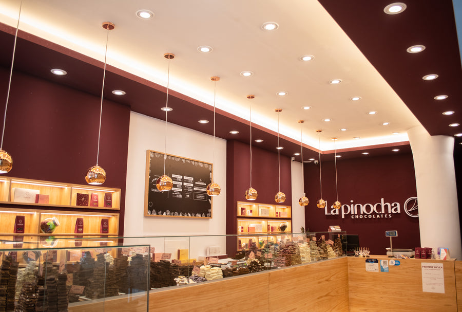 Proyecto LA PINOCHA Estudio Moreno